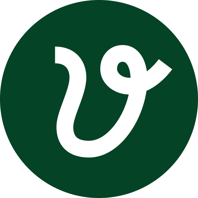 VeloPlanner logo